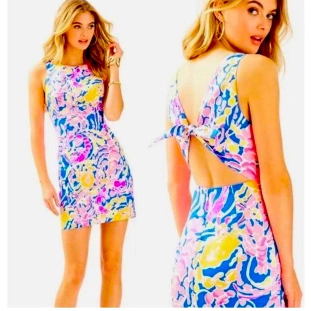 Lilly Pulitzer Catch and Release Courtney Shift Dress - Like New!